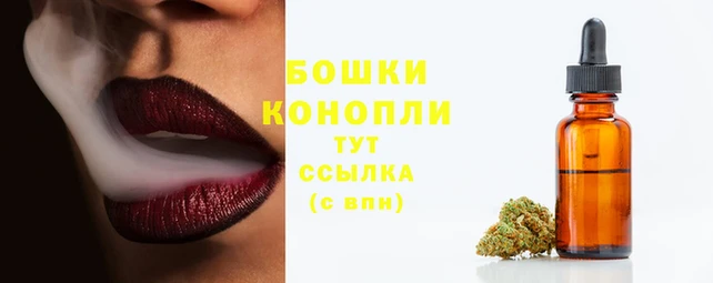 амф Арсеньев