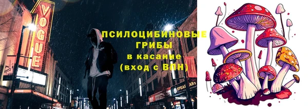 амф Арсеньев