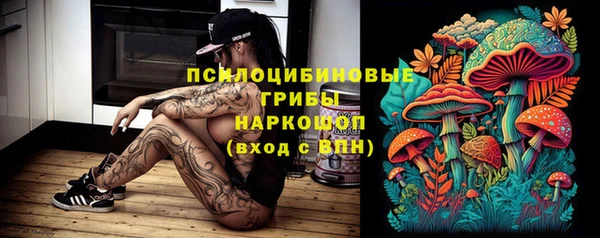 гидропоника Алзамай