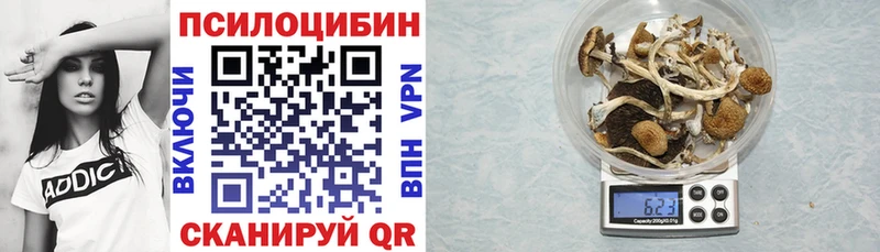 купить наркотик  Свирск  Псилоцибиновые грибы Psilocybe 